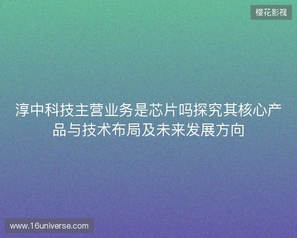 淳中科技主营业务是芯片吗探究其核心产品与技术布局及未来发展方向